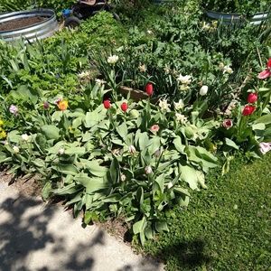 Feel free to make an offer!